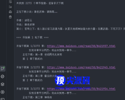 下载某小说站小说完美无错，单线程避开反爬虫机制支持单章多页