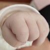 实心菜