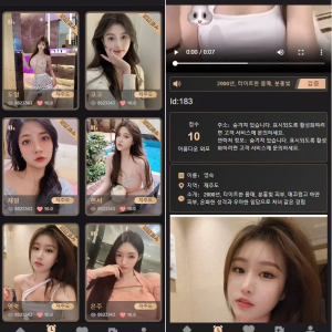 视频打赏国外空降系统源码，三国语言php源码无加密