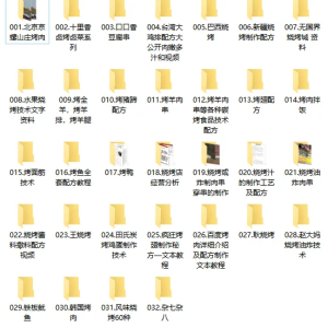 【价值2万技术可创业】32套各类烧烤炭烤小吃技术合集）