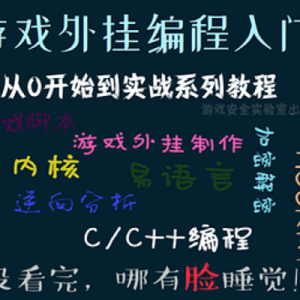 C/C++编程游戏外挂实战视频教程(价值98元)